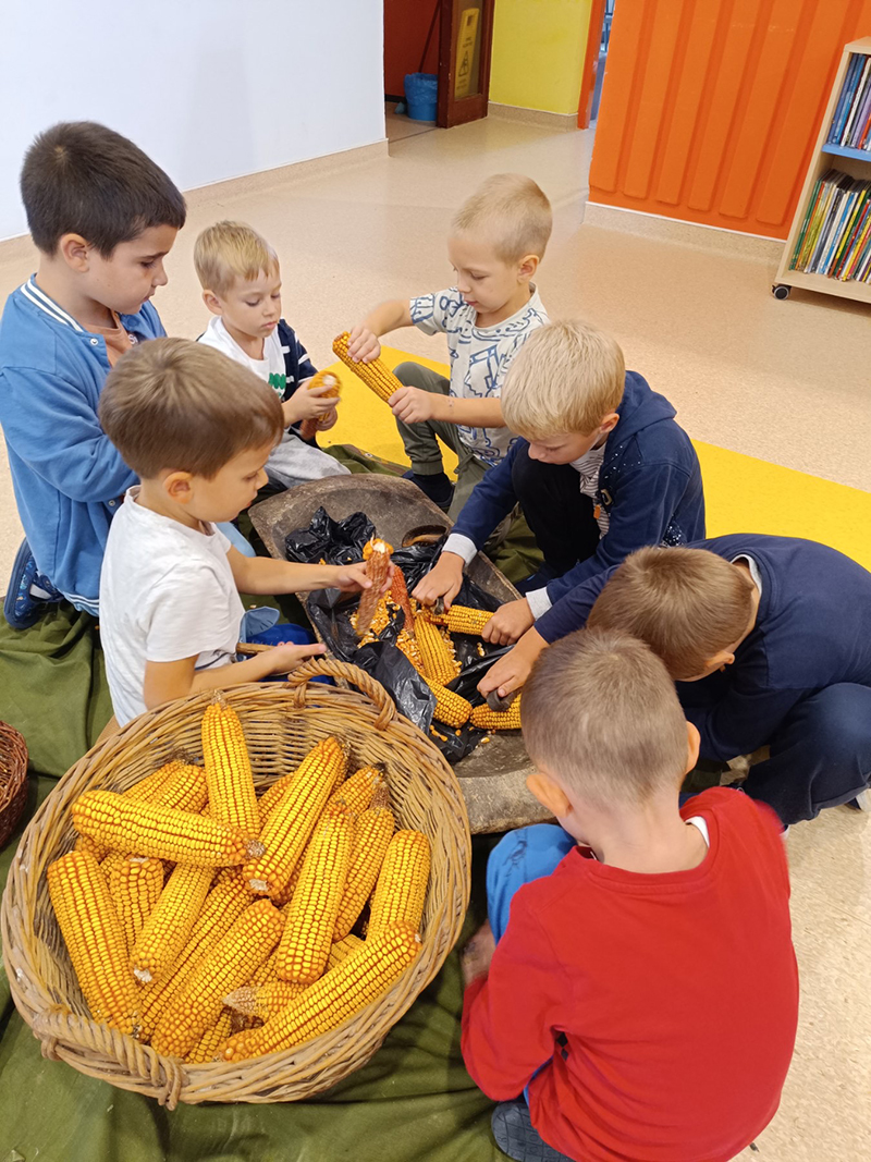 Rujan 2024 - Ftičeki