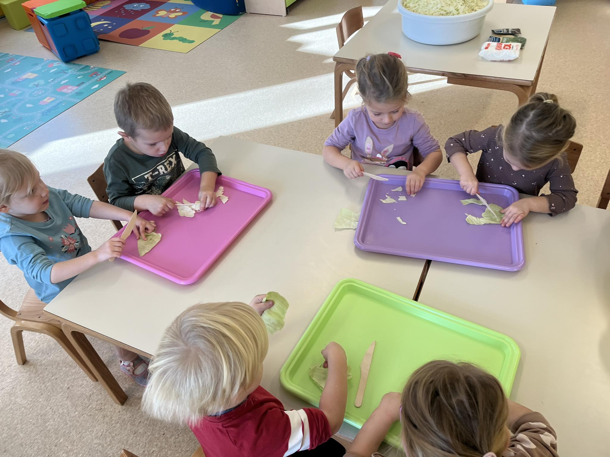 KVAŠENJE KUPUSA